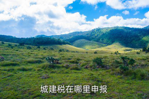 地稅城市維護建設(shè)稅按什么申報，城建稅申報
