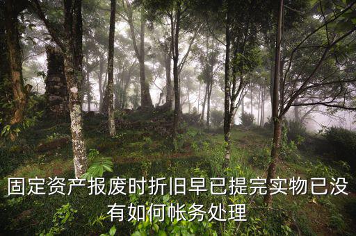 固定資產報廢時折舊早已提完實物已沒有如何帳務處理