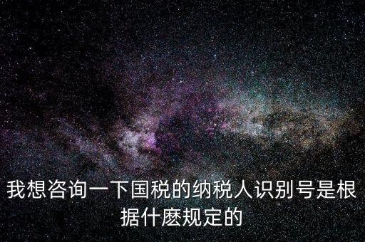 臨時(shí)納稅人代碼是什么，我想咨詢一下國稅的納稅人識(shí)別號(hào)是根據(jù)什麼規(guī)定的