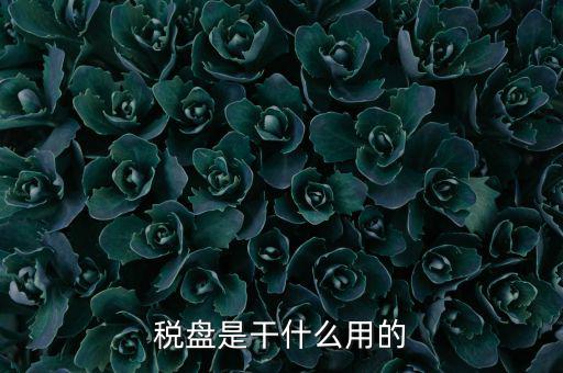 為什么要買金稅盤，稅控盤是一定要買的嗎