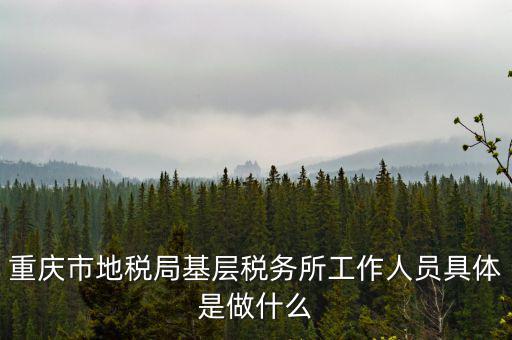 稅務局什么工作人員，請問地方稅務局具體做哪些工作