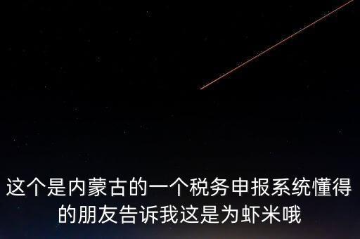 這個是內(nèi)蒙古的一個稅務(wù)申報(bào)系統(tǒng)懂得的朋友告訴我這是為蝦米哦