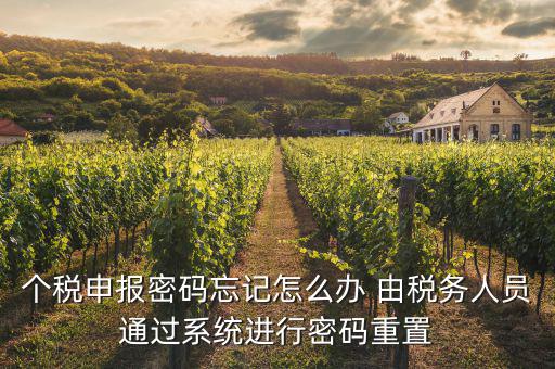 去稅局重置密碼要帶什么資料，個稅申報密碼怎么重置