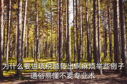 為什么要進(jìn)項稅額轉(zhuǎn)出，為什么要進(jìn)項稅額轉(zhuǎn)出啊麻煩舉些例子通俗易懂不要專業(yè)術(shù)