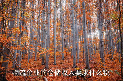 倉儲物流公司繳納什么稅，我是會計新手 請問各位師傅們物流公司應(yīng)繳納什么稅