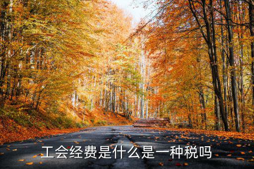 工會經(jīng)費(fèi)是什么是一種稅嗎