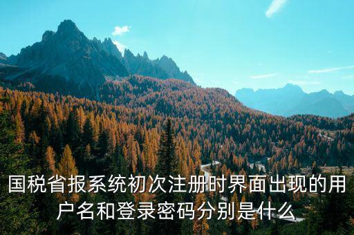 河南省國稅申報(bào)系統(tǒng)帳號(hào)是什么，請(qǐng)問國稅申報(bào)用戶號(hào)是什么密碼又是什么