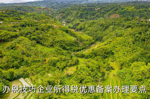 稅收優(yōu)惠事項(xiàng)備案項(xiàng)目是什么，企業(yè)所得稅需備案的事項(xiàng)包括哪些