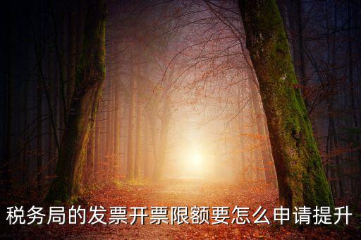 提高開票限額申請(qǐng)需要什么資料，去稅務(wù)局增大公司的開票限額需要帶些什么我公司第一次開票去申