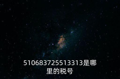 陜西省地方的稅號開頭是什么，510683725513313是哪里的稅號