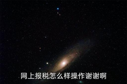 福建企業(yè)在什么網(wǎng)站報稅，網(wǎng)上報稅怎么樣操作謝謝啊