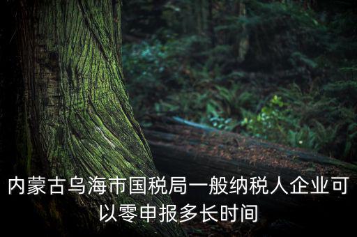 內(nèi)蒙古烏海市國稅局一般納稅人企業(yè)可以零申報(bào)多長時(shí)間