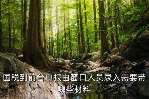 安徽去窗口申報稅需要帶什么材料，申報增值稅要拿什么材料去