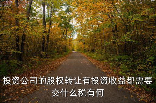 投資公司要交什么稅，投資集團(tuán)公司如何繳稅