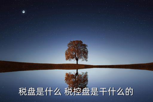 中稅協(xié)安全盤(pán)是什么，稅盤(pán)是什么 稅控盤(pán)是干什么的
