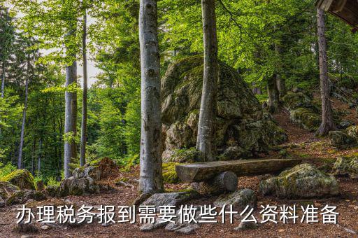 辦理稅務(wù)報到需要做些什么資料準(zhǔn)備