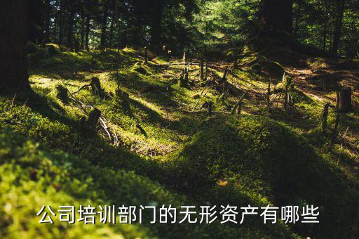 其他權(quán)益性無(wú)形資產(chǎn)是什么，無(wú)形資產(chǎn)屬于什么科目