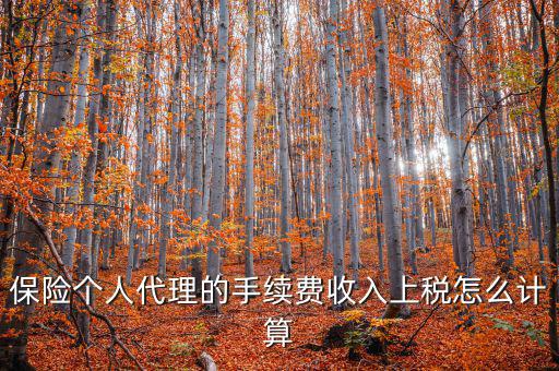 保險代理員交什么稅，請問從車輛保險代理人的提承里扣的稅是什么稅啊