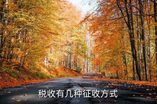 稅務(wù)征非稅采取什么方式，稅務(wù)征收有哪幾種