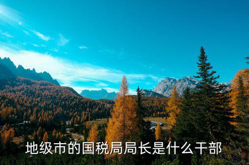 市國稅局局長什么級別，地級市的國稅局局長是什么干部