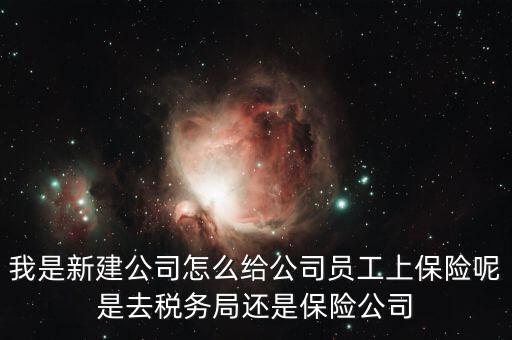 稅務(wù)局保險(xiǎn)是什么，稅務(wù)局讓企業(yè)交得規(guī)費(fèi)和參保費(fèi)是什么