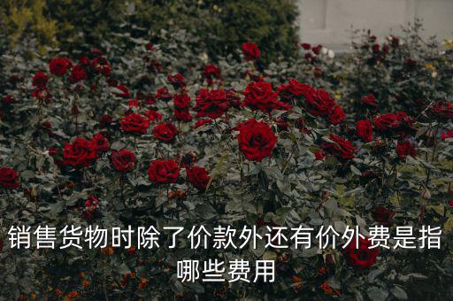 什么叫價外費(fèi)用，屬于價外費(fèi)用的是什么