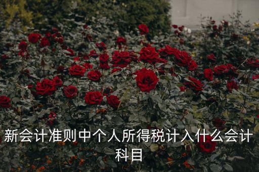 所得稅費(fèi)用什么科目，新會(huì)計(jì)準(zhǔn)則中個(gè)人所得稅計(jì)入什么會(huì)計(jì)科目