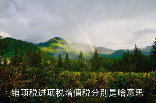 什么是銷項和進項，進項稅和銷項稅是什么意思
