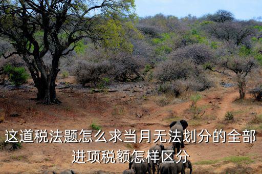 什么叫無法劃分的進(jìn)項稅額，一般納稅人兼營免稅項目或者非增值稅應(yīng)稅勞務(wù)而無法劃分不得抵
