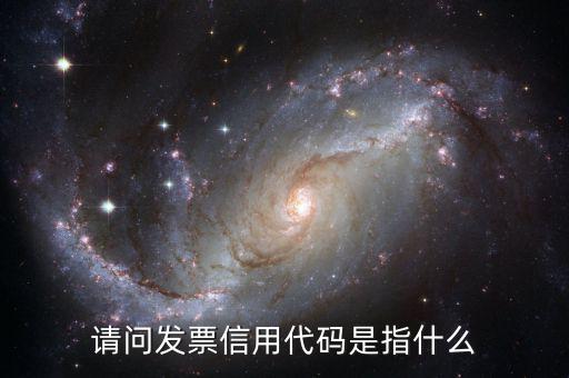 國稅開普票信用代碼是什么，發(fā)票上的統(tǒng)一社會信用代碼是什么