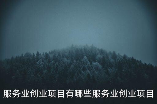 服務(wù)業(yè)創(chuàng)業(yè)項目有哪些服務(wù)業(yè)創(chuàng)業(yè)項目