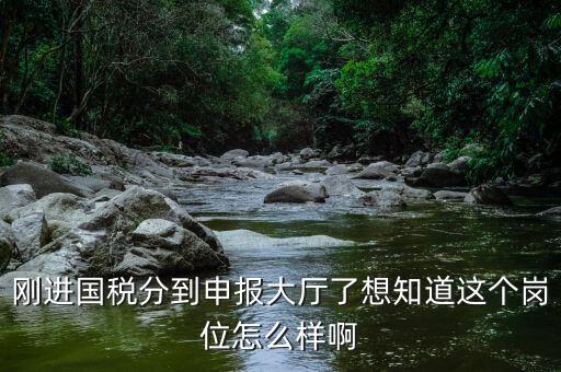 國稅局新進人員一般分到什么崗位，國稅局 工作人員需要哪些專業(yè)職稱
