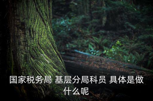 國地稅征管改革黨員干部干什么，國家稅務局 基層分局科員 具體是做什么呢