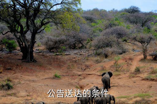 稅務(wù)局公告送達(dá)需要什么條件，公告送達(dá)的條件
