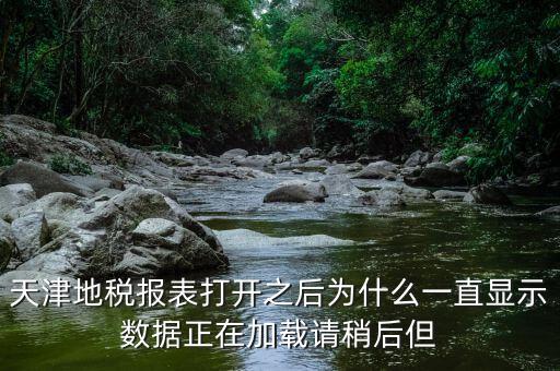 天津地稅為什么，天津地稅報(bào)表打開之后為什么一直顯示數(shù)據(jù)正在加載請(qǐng)稍后但