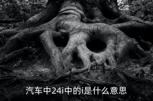 小車船i代表什么意思，汽車中24i中的i是什么意思