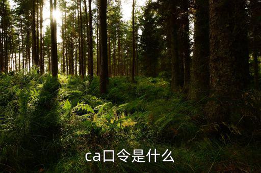 ca證書(shū)驗(yàn)證口令是什么，ca口令是什么