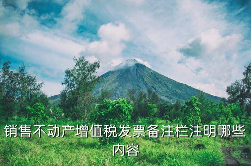 不動(dòng)產(chǎn)開具專票必須備注什么，非房地產(chǎn)企業(yè)不動(dòng)產(chǎn)開票是否需備注詳細(xì)地址