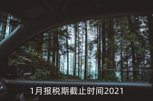 1月份地稅什么時(shí)候申報(bào)，報(bào)稅一般都是每個(gè)月什么時(shí)候報(bào)稅