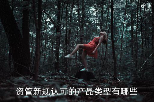 資管新規(guī)認可的產品類型有哪些