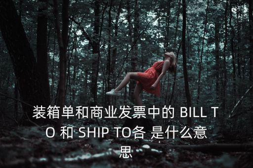 發(fā)票中b o是什么意思，在形式發(fā)票中Merrs是什么意思啊