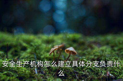 什么是三級分支機(jī)構(gòu)，英語三級發(fā)證機(jī)構(gòu)是什么
