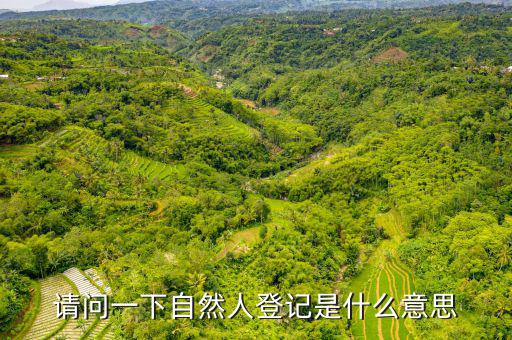 自然人登錄是什么，自然人密碼是什么