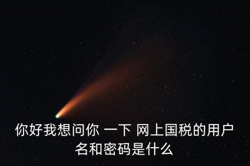 稅務(wù)登記密碼是什么，國稅第一次網(wǎng)上申報的登陸密碼是什么
