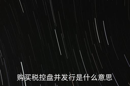 購(gòu)買(mǎi)稅控盤(pán)并發(fā)行是什么意思