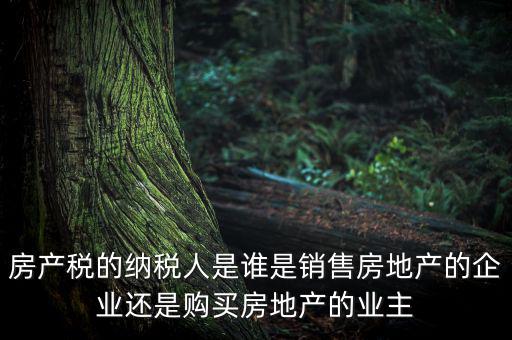 房產(chǎn)稅的納稅人是誰(shuí)是銷售房地產(chǎn)的企業(yè)還是購(gòu)買(mǎi)房地產(chǎn)的業(yè)主