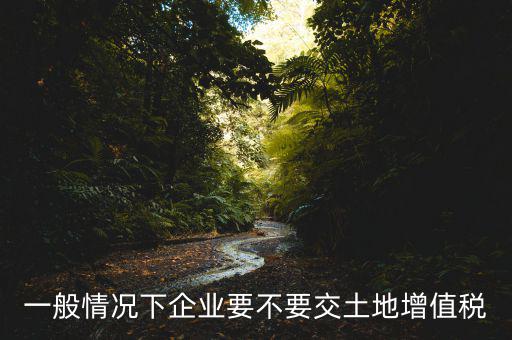 什么企業(yè)交土地增值稅，一般情況下企業(yè)要不要交土地增值稅