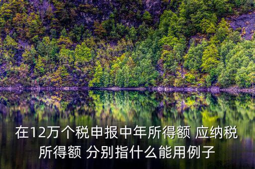 在12萬個稅申報中年所得額 應納稅所得額 分別指什么能用例子