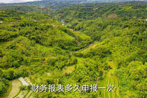 2016年財(cái)務(wù)報(bào)表什么時(shí)候申報(bào)，國(guó)稅財(cái)務(wù)報(bào)表年報(bào)什么時(shí)間報(bào)
