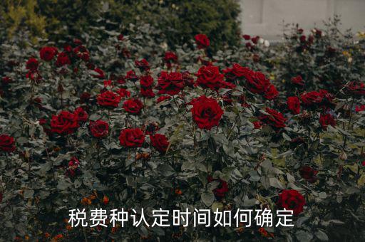 稅種認(rèn)定后什么時(shí)間申報(bào)，稅務(wù)局變更稅費(fèi)種認(rèn)定變更后多久可以可以報(bào)稅